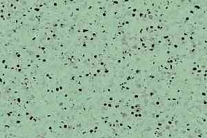 Линолеум Mipolam Elegance El5 0355 Green фото  | FLOORDEALER